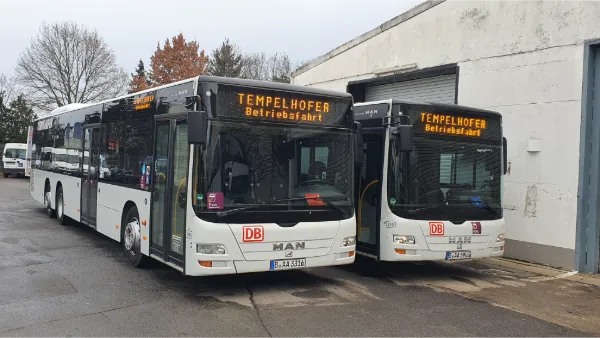 Zwei weiße Tempelhofer-Busse mit beleuchteter Fahrtzielanzeige in enger Frontansicht
